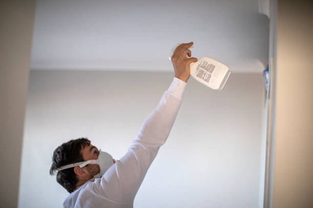 Best Certified Mold Removal  in Ridgefield Park, NJ