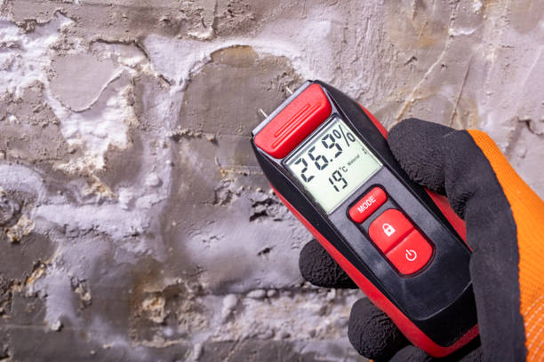 Best Home Mold Removal  in Ridgefield Park, NJ